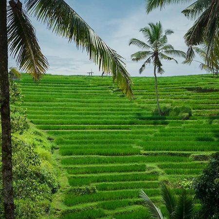 Be Bali Stay Ubud  Exterior photo